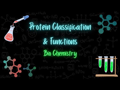 Protein Classification & functions - تصنيف البروتينات ووظائفها - تعلم بالعربي