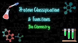 Protein Classification & functions - تصنيف البروتينات ووظائفها - تعلم بالعربي