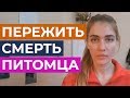 Я похоронила собаку своими руками или как пережить смерть питомца