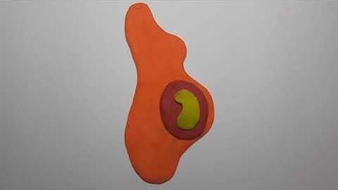 LIFE IN COLOUR | FVD Music Video - draft 1(Group 3 - Carmina)