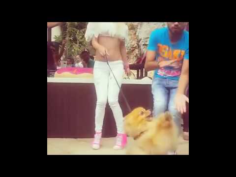 فتاة تصور ليلة دخلتها 18