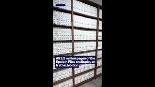 All 3.5 million pages of the Epstein Files on display at NYC exhibition #shorts
