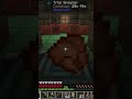 All This Work For Just Chicken!!  #minecraft #gaming  #minecrafthardcore