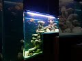 Malawi drop-off tank.
