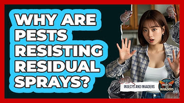 Why Are Pests Resisting Residual Sprays? - Insects and Invaders