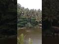 A stunning spot at Azhimala Cliff and Beach #cliffbeach #cliff