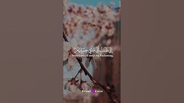 #القارئ_محمد_احمد_حسن #المصحف#محبي #اكسبلور  #صلوا_على_النبي