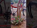 cycle #youtubeshorts #trending