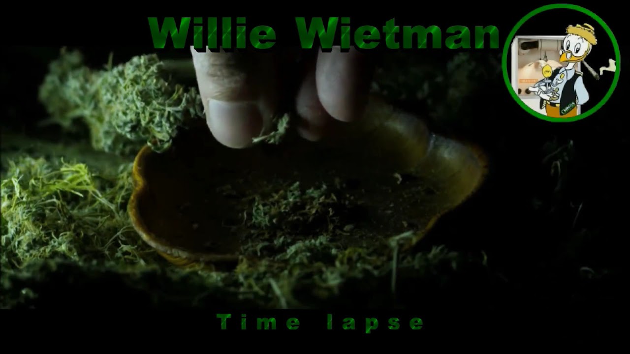 Week 6 in de CNNBS G Kit XL