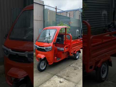 Xe 3 bánh điện Smart N700 có mái che, tải trọng 700kg