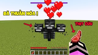 10 Sinh Vật (Mobs) Và Cách Thuần Hóa Chúng Trong Minecraft - Nuôi Wither Trong Nhà