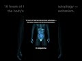 Your body's natural cellular cleanup process #fact #relatable #doctor #mbbs #medico