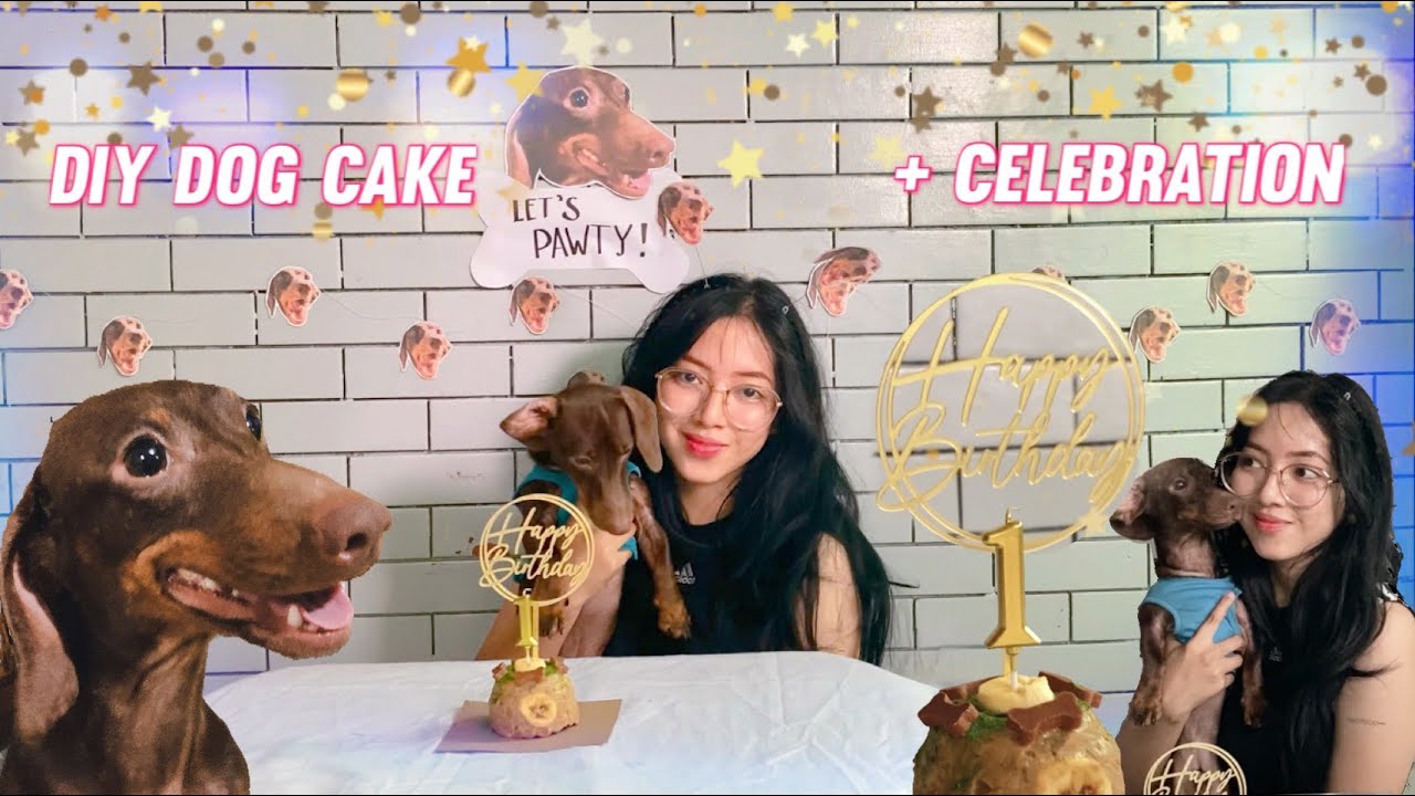 DIY NO BAKE DOG CAKE for  BAKI's PAWty   (Process, Decorations and a Simple Celebration) | ARTURAM