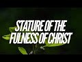 6224  stature of the fulness of christ  bro michael smith