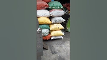 lò hơi đốt nguyên liệu củi trấu ép