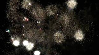 20100729足立花火大会オープニング