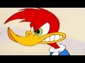 Woody Woodpecker Show | Pinheads | 1 Hour Compilation | Videos For Kids