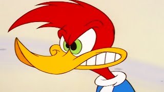 Woody Woodpecker Show | Pinheads | 1 Hour Compilation | Videos For Kids