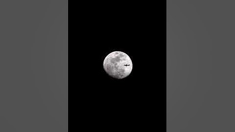 (Cover) Fly me to the moon ---  Beegie Adair Trio