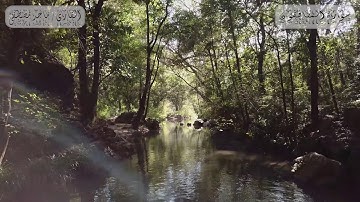 سورة المنافقون للقارئ ماجد مصطفى