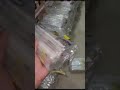 #youtubeshorts #device #trending #solderingequipment #realme #shortvideo #comedyshorts #viral