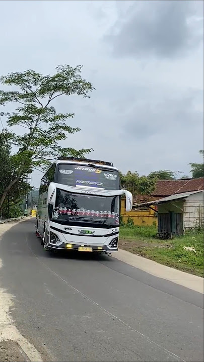Jadi Kecanduan Sama Basuri Kids Panda 😍 #busmania #telolet
