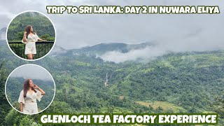 TRIP TO SRI LANKA: DAY 2 IN NUWARA ELIYA | GLENLOCH TEA FACTORY EXPERIENCE