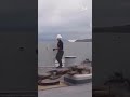 😱WORLDS MOST RISKY AND SAFE JOBS #ship #youtubeshorts #marchantnavy  #beingmariner #boatrockerz