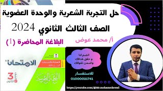 التجربة الشعرية والوحدة العضوية #كتاب_الامتحان 2024 الصف الثالث الثانوي