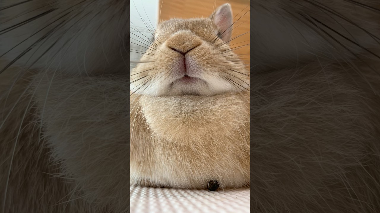 おててないないしてるのは…