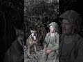 How This Dog Went From Enemy to Friend in WWII