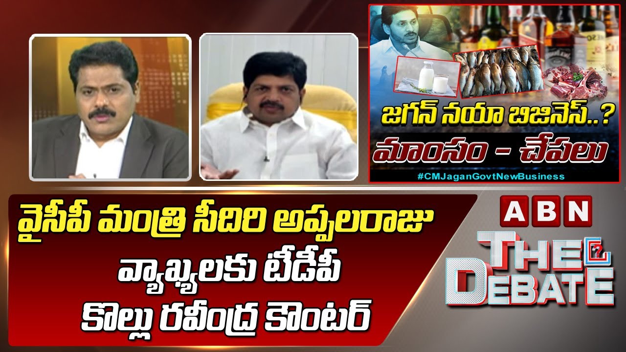 TDP Kollu Ravindra Counter Comments To YCP Minister Seediri Appalaraju 