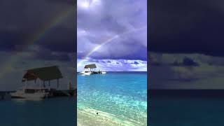 Follow every rainbow, till you find your dream #shorts #maldives