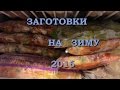 ВЛОГ 10.08.16/Заготовки на зиму/Заморозка овощей/Сок на зиму