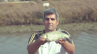 PESCA coi PASTURATORI: Canne e mulinelli in azione sul fiume Ufente | Tubertini Feeder in Tour