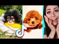 The CUTEST TIKTOK Compilation Ever !