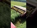 Farmall 706 mowing hay