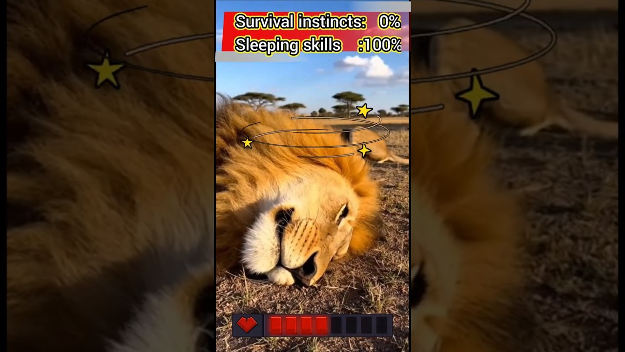 When the Queen Decides to Wake Up the King 