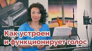 Как устроен и функционирует певческий голос # Урок 1 Как устроен и функционирует певческий голос # Урок 1