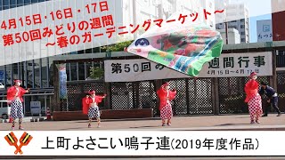 上町よさこい鳴子連　2019年度作品　ジョウネツノヒノトリ　第50回みどりの週間　ステージイベント　よさこい踊り　高知市中央公園