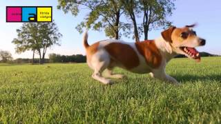 El Mes De Los Grandes Viajes En Iltrida Viajes