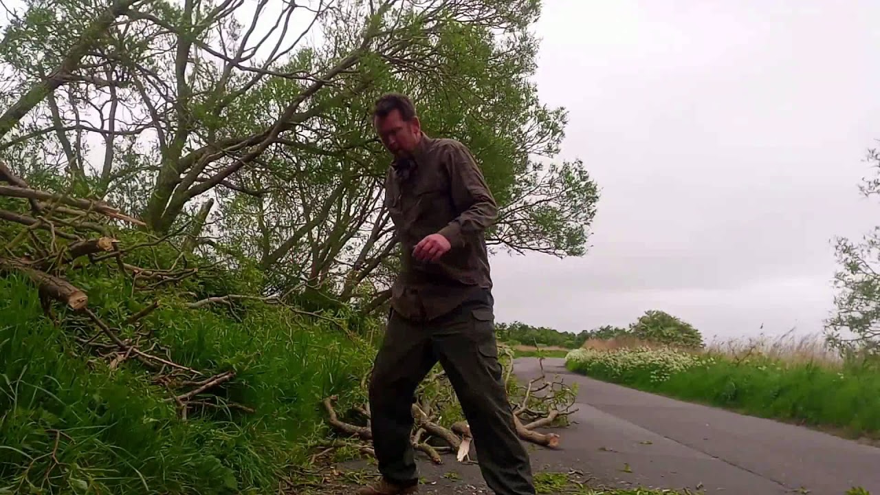 clearing a fallen tree from the road - YouTube
