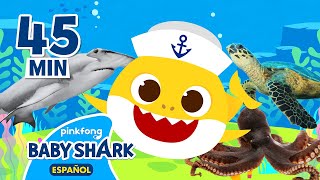 Especial del Día Mundial de los Mares 🌊 | Canciones Infantiles | Baby Shark en español