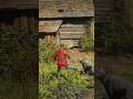 Survival Skills vid394