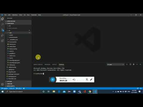 How to Run your Source Code in Visual Code | Angular