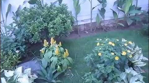 SAN VUON NHA CHI LUU   DT1 -  B19 BIET THU SPLENDORA - BẮC AN KHÁNH