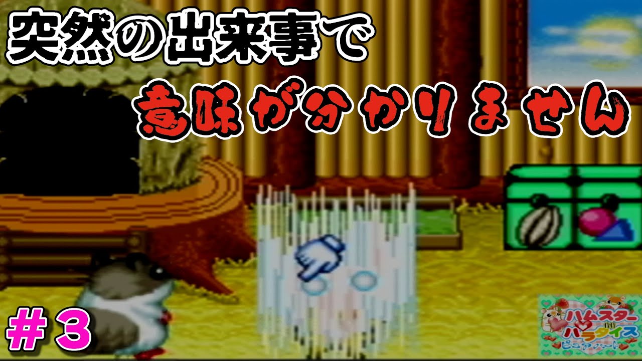 3森の中に行ってみた 【ハムスターパラダイス ピュアハート】 - YouTube