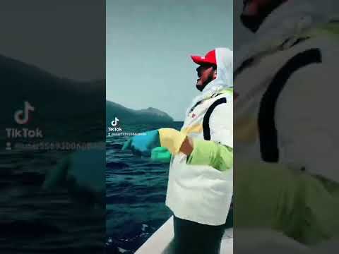 ساجر ظفار بحر صلاله