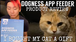 I Bought My Cat a Gift - DOGNESS APP FEEDER (product review) screenshot 2