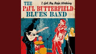 Video thumbnail of "Paul Butterfield - Drivin' Wheel"